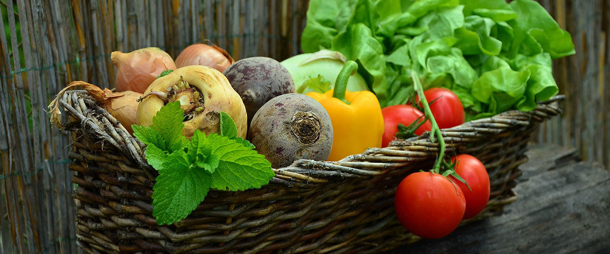 The Salad Jar Diet | Natural Recipes | Healthy Living | Vitalship Naturopathic Family Medicine